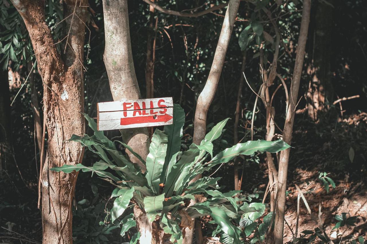 Отель La Vie Adventure Trails Salabusob Экстерьер фото